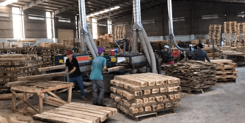 原木多片鋸生產(chǎn)線(xiàn)，越南????客戶(hù)使用現(xiàn)