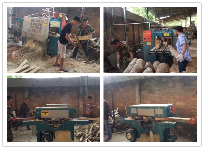 南海三亞--雙排鏈原木多片鋸、簡易板式多片鋸工作圖