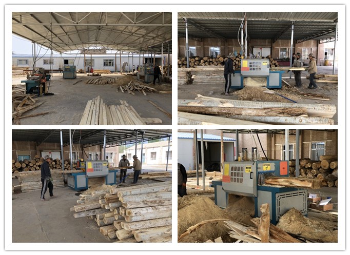 新疆哈密市--雙排鏈原木多片鋸、方木多片鋸、清邊機加工楊木