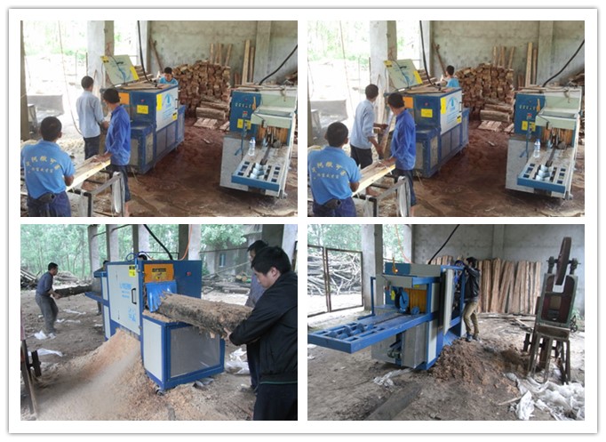 湖南岳陽(yáng)--原木多片鋸、方木多片鋸工作圖