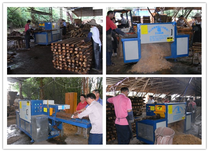 梅州五華長(zhǎng)布-原木多片鋸工作圖