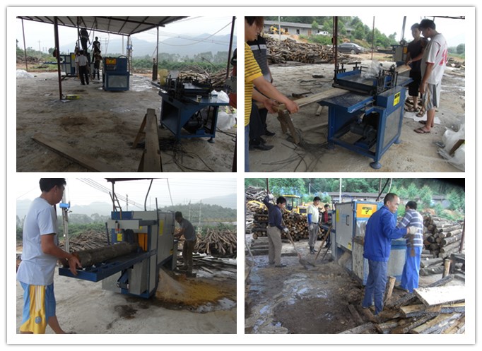 廣東韶關(guān)市馬壩-原木多片鋸、清邊機(jī)工作圖