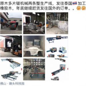 發(fā)往泰國客戶的400機(jī)型-250型原木多片鋸生產(chǎn)線專柜