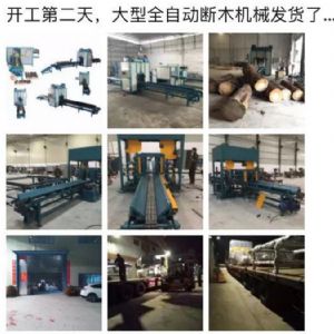 2017年發(fā)貨國內(nèi)250型原木斷木機生產(chǎn)線&nbsp;圓木截木機，鋸木機生