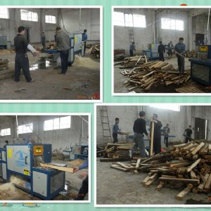 廣西-200原木多片鋸-圓木150高多片鋸加工現(xiàn)場(chǎng)