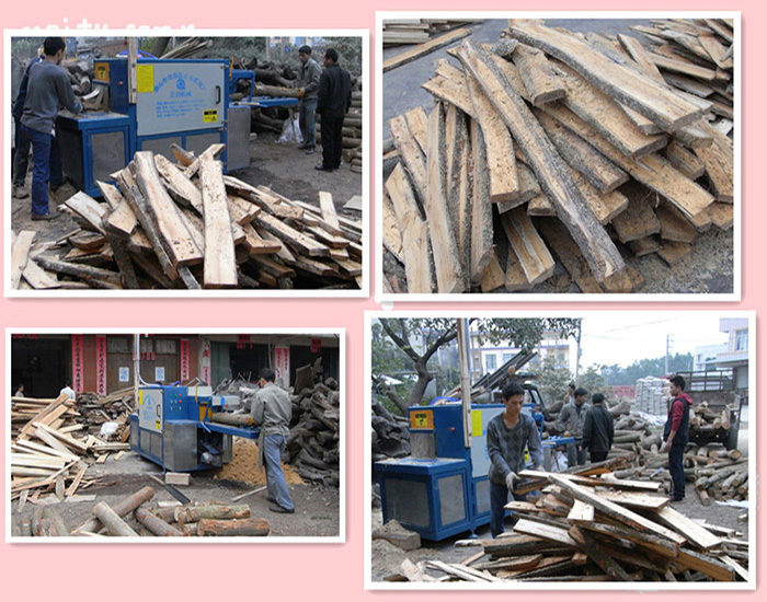 廣西-賀州-鋸扎木20原木多片鋸加工現(xiàn)場(chǎng)