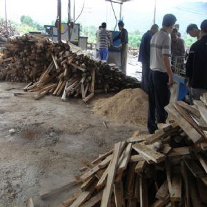 廣東省韶關市馬壩-方木多片鋸150高-加工現(xiàn)場