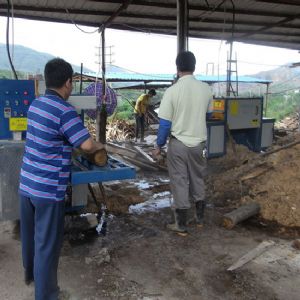 廣東省韶關市馬壩-圓木多片鋸250-加工現(xiàn)場