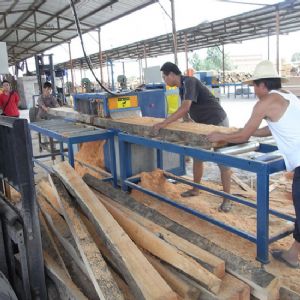 天津市-150方木多片鋸加工現(xiàn)場(chǎng)