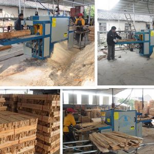 原木多片鋸-圓木多片鋸-200型廣西-桂林-西江鎮(zhèn)加工現(xiàn)場(chǎng)2