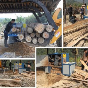 原木多片鋸-圓木多片鋸-200型廣西-寧南加工現(xiàn)場(chǎng)