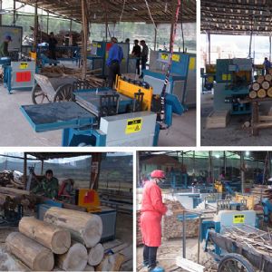 原木方木多片鋸安徽蕪湖客戶加工現(xiàn)場(chǎng)